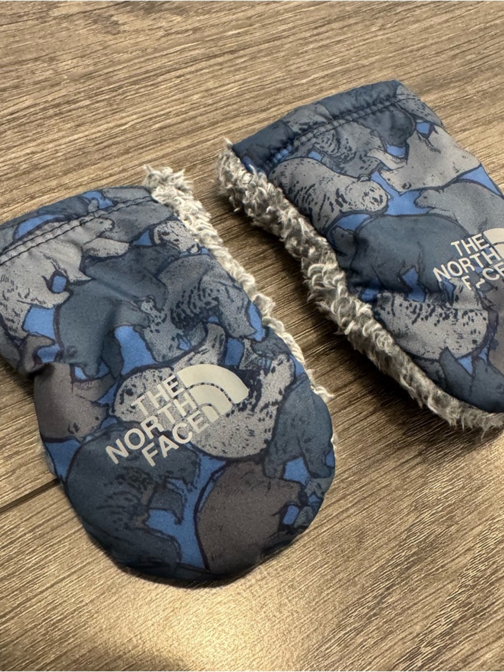 The North Face Blue Baby Mittens